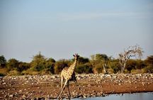 12 Days Tour Namibia In Plus | Self Drive Lodge