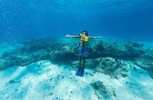 Cozumel Catamaran Snorkeling Tour & lunch®