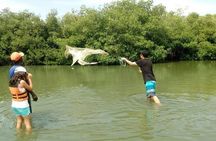 Live like a fisherman on the Mangroves Rout