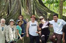 Amazon River Expeditions with Guide for 5 Days 4 Night Ecolodge 