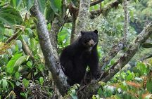 Manu Jungle Tour (3 Days)