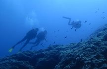 Private Try Scuba Diving 
