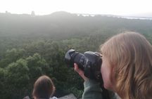 Tikal VIP Private Sunrise Tour All Inclusive from Flores Guate