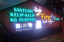 Private Tour Batu Caves,Wonderful Fireflies,Eagles and Silvered Leaf Monkey 