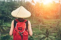 Best of Ubud Attractions: Private All-Inclusive Tour