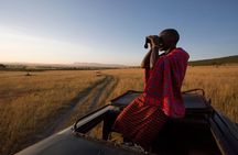 1-Day Maasai Mara Safari