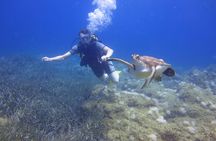 Alanya: Scuba diving experience for beginners