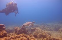 Side: Scuba Diving Experience