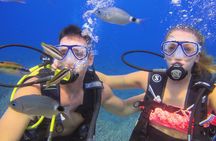 Side: Scuba Diving Experience