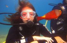 Side: Scuba Diving Experience