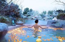Nanjing Purple Mountain Private Tour with Tangshan Hot Spring Spa Experience