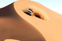 Dubai Desert Safari-BBQ Dinner, Belly Dance, Fire show