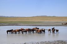 2 day Central Mongolia 