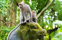 Private Tour: Ubud Highlights
