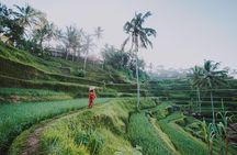 Private Tour: Ubud Highlights