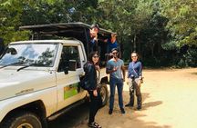 Safari at Wilpattu National Park from Negombo (Private Day Tour)