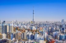 Tokyo Private Tour by Vehicle with English-Speaking Chauffeur