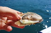 Classic Tour with Wine Tastings from Dubrovnik
