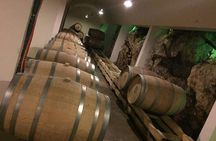 Dubrovnik Bosnia-Herzegovina Half-Day Wine Tour with Tastings