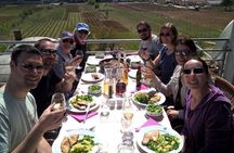 Dubrovnik Bosnia-Herzegovina Half-Day Wine Tour with Tastings