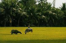 4 Days VIP Private Tour from Dalat - Saigon ( Luxury Car/Private VIP Motorbike)