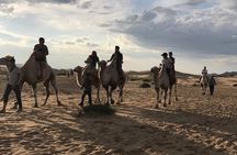 semi-Gobi, Karakorum, Genghis Khan Statue & Terelj National Park