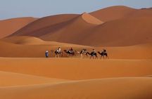 3 Days Marrakech To Fes Desert Tour Via Merzouga