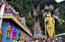 2D1N Cameron Highlands, Batu Caves, Ipoh, Kuala SelangorFireflies