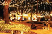 Private Nights Of Lights Tour