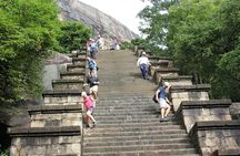 Three Ancient Kingdoms Tour | from Negombo