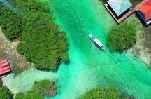 Roatan Let's Plan your Day