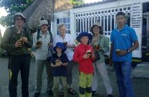 Ecoruta Volcán del Totumo and experience in the Mangroves