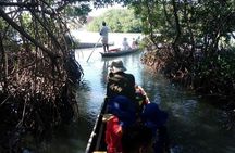 Ecoruta Volcán del Totumo and experience in the Mangroves