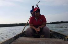 Ecoruta Volcán del Totumo and experience in the Mangroves