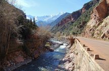 Full day trip to ourika valley and the high atlas mountains