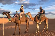 Private 3 days desert tour from Fes to Marrakech