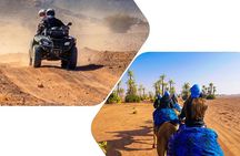 ATV Quad biking in Marrakech desert palmgrove