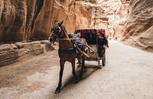 FROM AMMAN | Petra & Wadi Rum in one day | The Jordanian Mappers