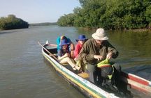 Day Tour as a Fisherman in the Mangroves and Mud Bath