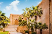 7-Day Private Guided Cultural Tour of Morocco from Casablanca