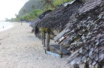 Tour Samoa with a local~ Full Day Island Tour of Apia Upolu Samoa