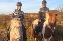 2 hours Private Horse Riding to Lake Hafravatn, Reykjavík - Mos