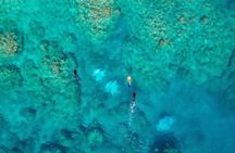 Rayglass Protector - Standard Private Charter - Whitsundays