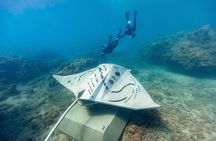 Rayglass Protector - Standard Private Charter - Whitsundays