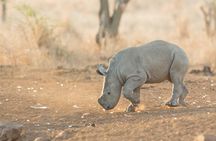 Luxury 5-Day Lesotho, Drakensberg & Safari Tour from Durban