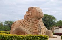 Bangalore to Mysore & Nagarhole National Park