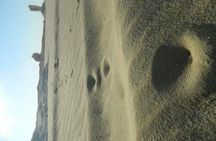 2-Days White Desert Adventure at Bahariya Oasis in Egypt