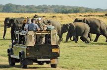 Evening Private Safari at Udawalawe National Park by Yala La Safari Tours