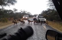3 Day Kruger National Park tour