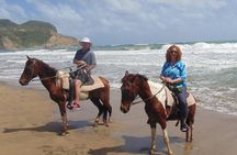 Nature & Historical Horseback Riding Tours St. Lucia